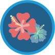 trailhead_module_salesforce_ohana_culture